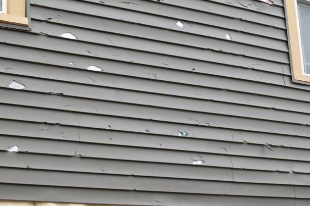 Best Recycling Services for Junk  in Cedar Lake, IN